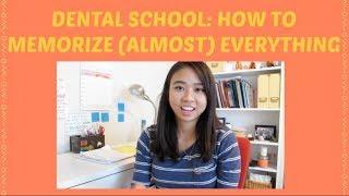 How I Memorize A Lot of Info in Dental School || Brittany Goes to Dental School