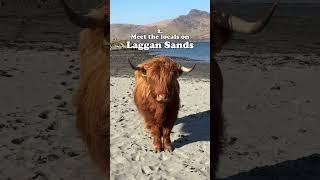 Things to do on the Isle of Mull | Visit Scotland