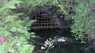 Environmental history of a hydrological landscape: the soughs of Derbyshire