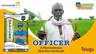 Gromor Kisanwani : Farmer Testimonial | Mr. Bhaskar Rao’s opinion about Officer in Paddy.