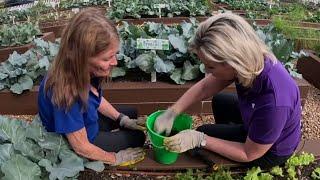 Home Grown: What to plant in the cold & the addition to your soil to improve growth