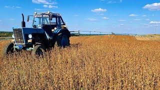 Та СОЯ вже золотою виходитьпроводити ту дисикацію чи нє⁉️