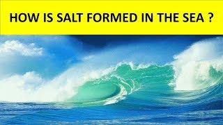 HOW IS SALT FORMED IN THE SEA ? || WHY IS SEA WATER SALTY ? || SCIENCE VIDEO FOR KIDS