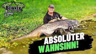 WALLER WAHNSINN mit SPINNER SPOON l In 2 Stunden zum BIG FISH