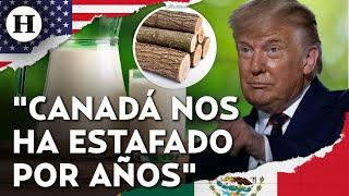 ¡Trump podría imponer más aranceles a Canadá! Esta vez a la madera y productos lácteos