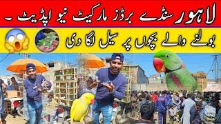 Lahore Sunday Birds market New update 2-3-2025 | Bolne Wale Bache.... #lahorientertainmentchannel