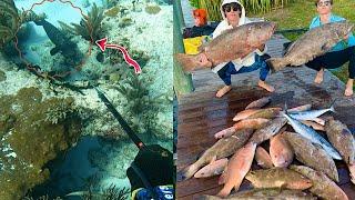 Spearfishing HUGE Snapper and Grouper in the BAHAMAS - Episode. 41