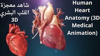 شاهد قلب الإنسان من الداخل (3D)// Miracle of the human heart 3D