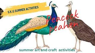 Senior K.G Summer Activities | Peacock Craft | Peahen Craft | Kids Media | Kids Garden Schools