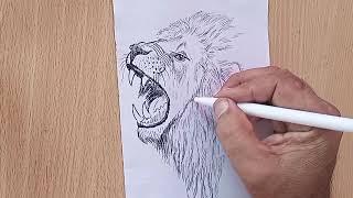 how to draw  Lion /step by step//easy drawing/art channel 20k