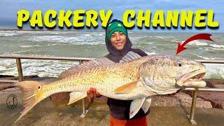 Jetty Fishing Corpus Christi - Giant Bull Redfish Schools