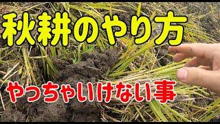 秋耕のやり方とやっちゃいけない注意ポイント【田んぼ】【秋耕】【ロータリー】