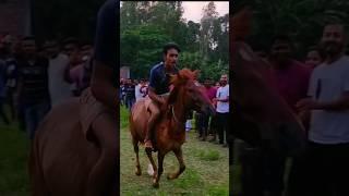 funny video #funnyvideo #sorshe