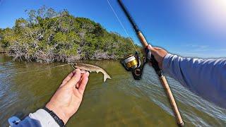 Exploring Florida Saltwater Shorelines on the Gheenoe! (NLBN Fishing)