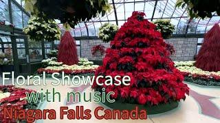 Christmas in Niagara Falls - Floral Gallery  #walkingvideo