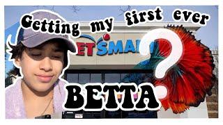 Getting My FIRST BETTA FISH | Petco Vlog | Halfmoon Betta