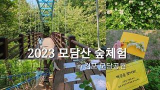 체험vlog | 공원에서 만나는 숲, 숲놀이, 숲해설가, 김포 모담공원, 아이와 함께하는 체험