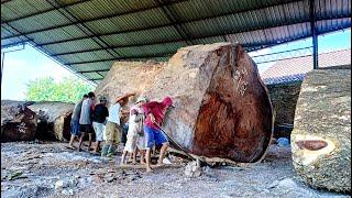 Trembesi wood from Ujung Kulon sold for 650 million with special fiber!! sawed board material