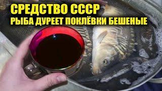 Активатор клёва из ссср, рыбы навалом клюёт! Дедовский рецепт активатора клева, аттрактант