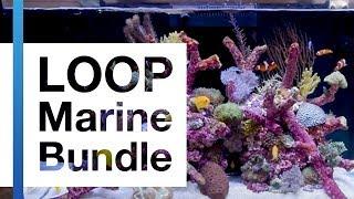 Meet the LOOP Marine Bundle by Current-USA