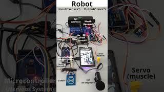 How Robots See & Act: A Visual Guide to Inputs & Outputs