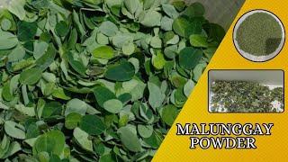 May own recipe malunggay powder | Letecia Luperte QA