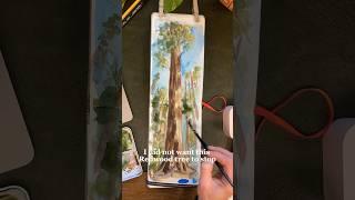 #landscapewatercolor #watercolourpainting #watercolortips #redwoods