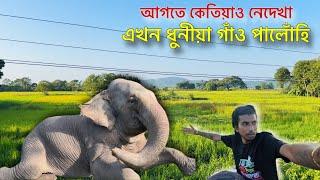 আগতে কেতিয়াও নেদেখা এখন ধুনীয়া গাঁও  - Episode 14 : Elephant Journey to Kaziranga 2024