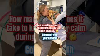 How Many Kisses Does It Take to Calm a Puppy?