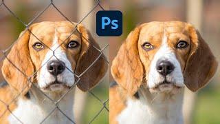 Easily Remove Fence In Photoshop (Easy Tricks) | graphllly 93