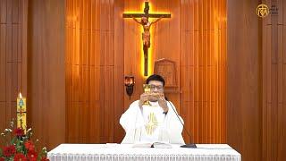 Thánh Lễ Chúa Nhật Chúa Thăng Thiên Năm C, 01/06/2025