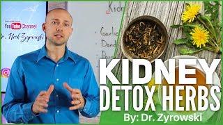 How To Cleanse Your Kidneys At Home: Kidney Detoxify Herbs | Dr. Nick Z.