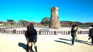 Korea - Take a tour of Cheomseongdae in the fall | Gyeongju - 4K HDR