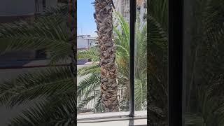 You Won't Guess Where This is in Las Vegas...But you're welcome to try!