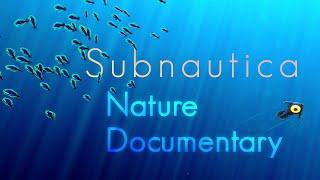 Subnautica Nature Documentary