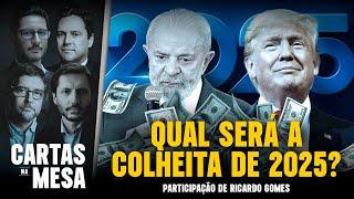 QUAL SERÁ A COLHEITA DE 2025? | Cartas Na Mesa - 06/01/25