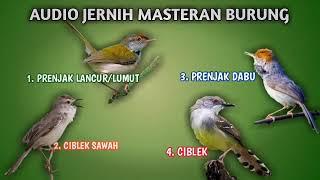 FULL AUDIO MASTERAN ISIAN CIBLEK, PRENJAK, CIWAH, PRENJAK LANCUR !! AUDIO JERNIH