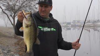 Bass Fishing Tips for Bank Anglers!