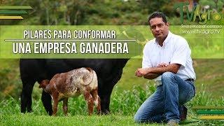 Pilares para Conformar una Empresa Ganadera - TvAgro por Juan Gonzalo Angel