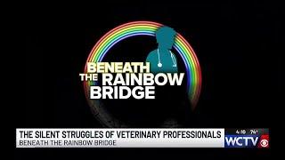 Beneath the Rainbow Bridge looks at the silent struggles of veterinary professionals