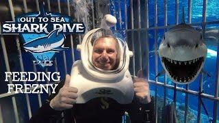 Shark Dive Feeding Frenzy at Wonders of Wildlife Aquarium