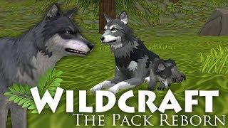 Rebirth of a Wolf Named Lynx  WildCraft: The Pack Reborn • #1