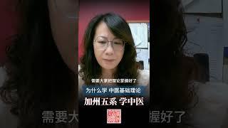 為什麼學中醫基礎理論