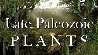 The Evolution of the late Paleozoic Plants