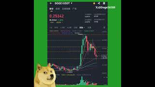 比特币和狗狗币每周技术分析(2025年2月11日)  #狗狗币 #DOGE #dogecoin #BTC #Bitcoin