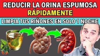 ¡8 SECRETOS De Desintoxicación Para Limpiar Tus Riñones Durante La Noche! - Frank Suárez