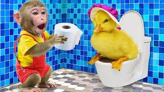 DoKi Monkey take care of Duckling and find way to deal with trouble at Toilet so funny | DoKi Monkey