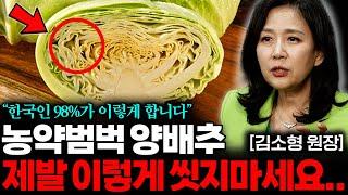 "베이킹소다, 식초 아닙니다" 양배추 '이렇게' 씻어야 농약이 싹! 사라집니다 (김소형 원장 1부)