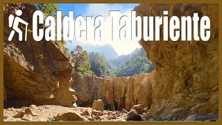 Wanderung auf La Palma im Nationalpark "Caldera de Taburiente"