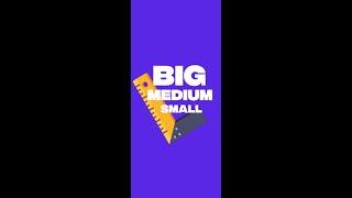  Big, Medium, Small